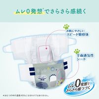 エリエール キミおもい リラックスウェア SSS テープ 超小型犬（女の子男の子共用タイプ）42枚入 3袋 大王製紙