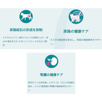 （セット品）ピュリナワン 猫 下部尿路 F.L.U.T.H.ケア チキン ＋ サーモン＆ツナ 2kg 各1袋 キャットフード