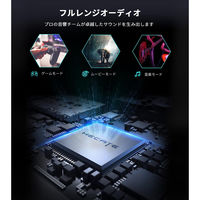 プリンストン ゲーミングスピーカー2000 ED-G2000-BK 1個