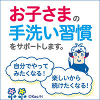 ビオレu泡スタンプハンドソープ お花で出てくるタイプ　本体250ml＋詰め替え800ml セット 花王【泡タイプ】