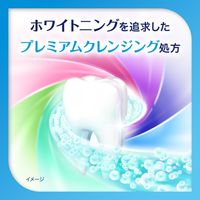 シュミテクト コンプリートワンEX プレミアム フレッシュシトラス 90g 歯磨き粉 1本 Haleonジャパン