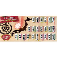 【大容量アソート】 いい湯旅立ち にごり炭酸湯 24種アソート 1パック（96錠入）医薬部外品 白元アース