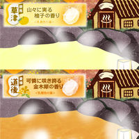 いい湯旅立ち にごり炭酸湯 ぬくもりの宿 4種アソート 1箱（16錠入）医薬部外品 白元アース