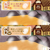 いい湯旅立ち にごり炭酸湯 うるわしの宿 4種アソート 1箱（16錠入）医薬部外品 白元アース