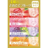 HERSバスラボ しっとり保湿 うるおい炭酸湯 4種のとれたてフルーツ 1箱（12錠入）発泡入浴剤 白元アース