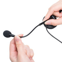 サンワサプライ ガイドシステム用ヘッドセット(オーバーヘッド型) MM-WGS4-HS2 1個（直送品）