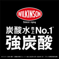 アサヒ飲料 ウィルキンソン タンサン ダブルグレープ 500ml 1セット（48本）