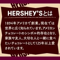 ハーシーリッチチョコケーキ 5個 ロッテ チョコレート