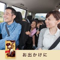 【ワゴンセール】トッポ＜ザ・ショコラ＞ 1セット（1個×10） ロッテ チョコレート