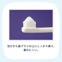 【6か月頃から】 ピジョン おやすみ前のフッ素コート いちご味 40ml