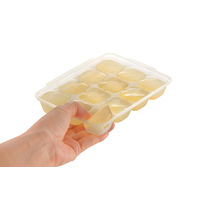 わけわけフリージング ブロックトレーR 15ml×12ブロック 1セット（2枚入×2個） リッチェル