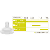 ブレイン 広口 替 乳首 2個セット（ 丸穴S ）ズーム・ティー