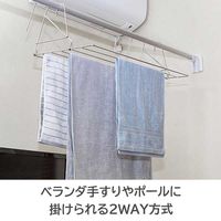 積水樹脂 ステンレスタオル干し DB-1 1台