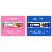 ソイジョイ フルーツシリーズアソート　12本セット（3種のレーズン・2種のアップル・ストロベリー・ブルーベリー 各3本） 大塚製薬