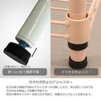 エイ・アイ・エス 19φ スチールラックセット 幅600×奥行250×高さ618mm ピンク NS6025-3PI 1台（直送品）