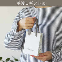 メルシーギフトバッグ ミニサイズ 5枚 紙袋  限定