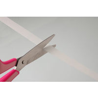 ニチバン 肌に貼れる両面テープ 1mm×4m HW154　1巻入