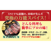 マキシマム オリジナルスパイス 140g 35本 中村食肉 アウトドア キャンプ 料理 BBQ バーベキュー 万能調味料