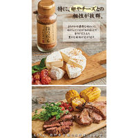 アウトドアスパイス ほりにし 金 プレミアム 24本 究極 アウトドア キャンプ 料理 BBQ バーベキュー 万能調味料