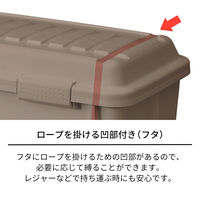 天馬 #樹脂と暮らすーR トランクボックスS 110013941 1個