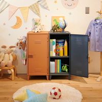 天馬 VAZZO ペグキャビネット 110013842 1個