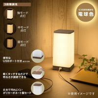 オーム電機 LEDタッチライト 電球色 06-0856 1個