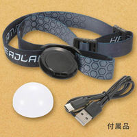 オーム電機 LEDマルチランタン 350ルーメン USB充電式 08-1521 1個