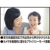 カシムラ スマートカメラ リモコン/温湿度/首振-巡航 KJ-195 1個