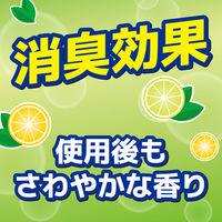 浄化槽 サンポール トイレ洗剤 クリーナー 500mL 1個 KINCHO キンチョー
