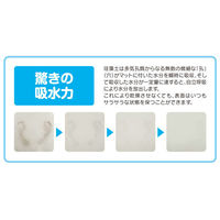 珪藻土バスマット【2】L HBM-001 1枚 ヒロ・コーポレーション（直送品）