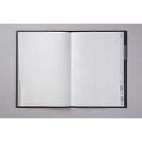 高橋書店 【2024年版】ディアクレールラプロ3 A5 月間 日曜始まり グリーン 503 1冊（直送品）