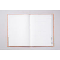 高橋書店 【2024年版】ディアクレールラプロ2 A5 月間 月曜始まり オレンジ 502 1冊（直送品）