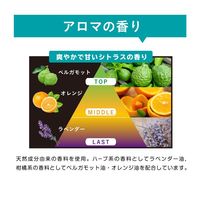 パスタイムFXこはる 40枚 10箱セット 祐徳薬品工業　アロマ香る貼り薬 フェルビナク配合 肩の痛み 腰痛【第2類医薬品】