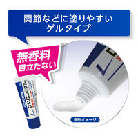 ロキソニンSゲル 25G 5箱セット 第一三共ヘルスケア ロキソプロフェン 塗り薬 筋肉痛 関節痛 腱鞘炎 テニス肘【第2類医薬品】