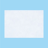 ラフェルサバンスキットSシップ 48枚 10箱セット 三友薬品　貼り薬 冷シップ パップ剤 腰痛 筋肉痛 打撲【第3類医薬品】