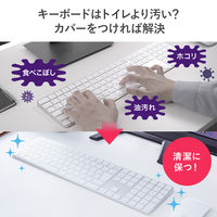 サンワサプライ ダイレクト:Apple Magic Keyboard用カバー(2枚入り) 200-FA010 1個（直送品）