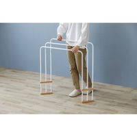 アイリスオーヤマ 折りたたみバスタオルハンガー ホワイト FBH-700 1台