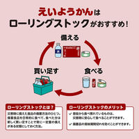 井村屋（株） 井村屋 12本入えいようかん 720g(60g×12本)×2個 4901006110730 2セット（直送品）