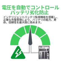 シュナイダーエレクトリック APC Smart-UPS（無低電源装置） SMT1500J 1台（直送品）