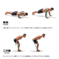 サクライ貿易 トレーニング器具 筋肉質バンド ペールブルー 54155 1セット(1個入)（直送品）