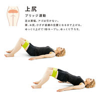 SAKURAI（サクライ） トレーニング器具 下半身ひきしめ 54183 1セット(2本入)（直送品）