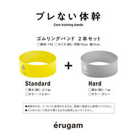 SAKURAI（サクライ） トレーニング器具 ブレない体幹 54184 1セット(2本入)（直送品）