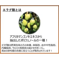 【ポーションコーヒー】【機能性表示食品】メロディアン スリーダウンコーヒー（希釈用）1袋（18個入）