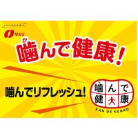 JUSTPACK黄金さきいか 10袋 なとり おつまみ