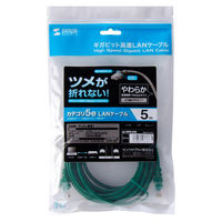 サンワサプライ ツメ折れ防止CAT5eLANケーブル LA-Y5TS-05G 1本