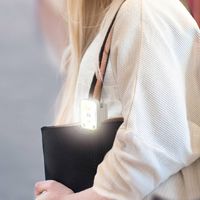 高輝度おさんぽライト 犬用 1個 ドギーマンハヤシ