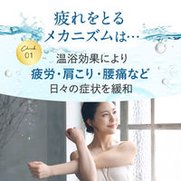 【お試し用】 ホットタブ リカバリー 薬用 重炭酸入浴剤 3回分 1パック（9錠入：1回3錠）医薬部外品 ホットアルバム炭酸泉タブレット