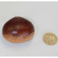 アデリー 【5個セット】山口県産がんね栗の焼きモンブラン HFGN-001-5 5袋（直送品）