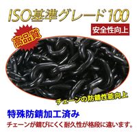 ベストアンサー レバーホイスト 1t VGP-1 ブラック 12台セット lh-003-12p 1セット(12台入)（直送品）