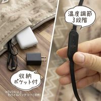 電響社 どこでもあったかブランケット ベージュ DAB-B11M-BE 1点